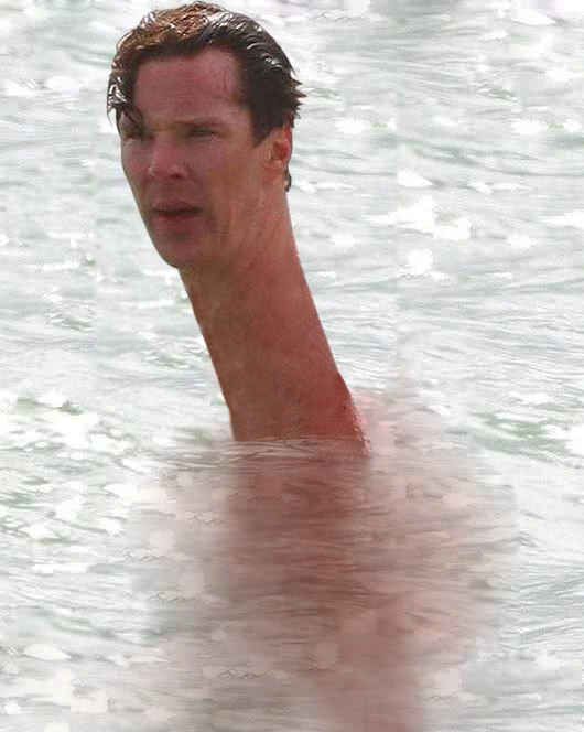 benedictus cumberbatchus